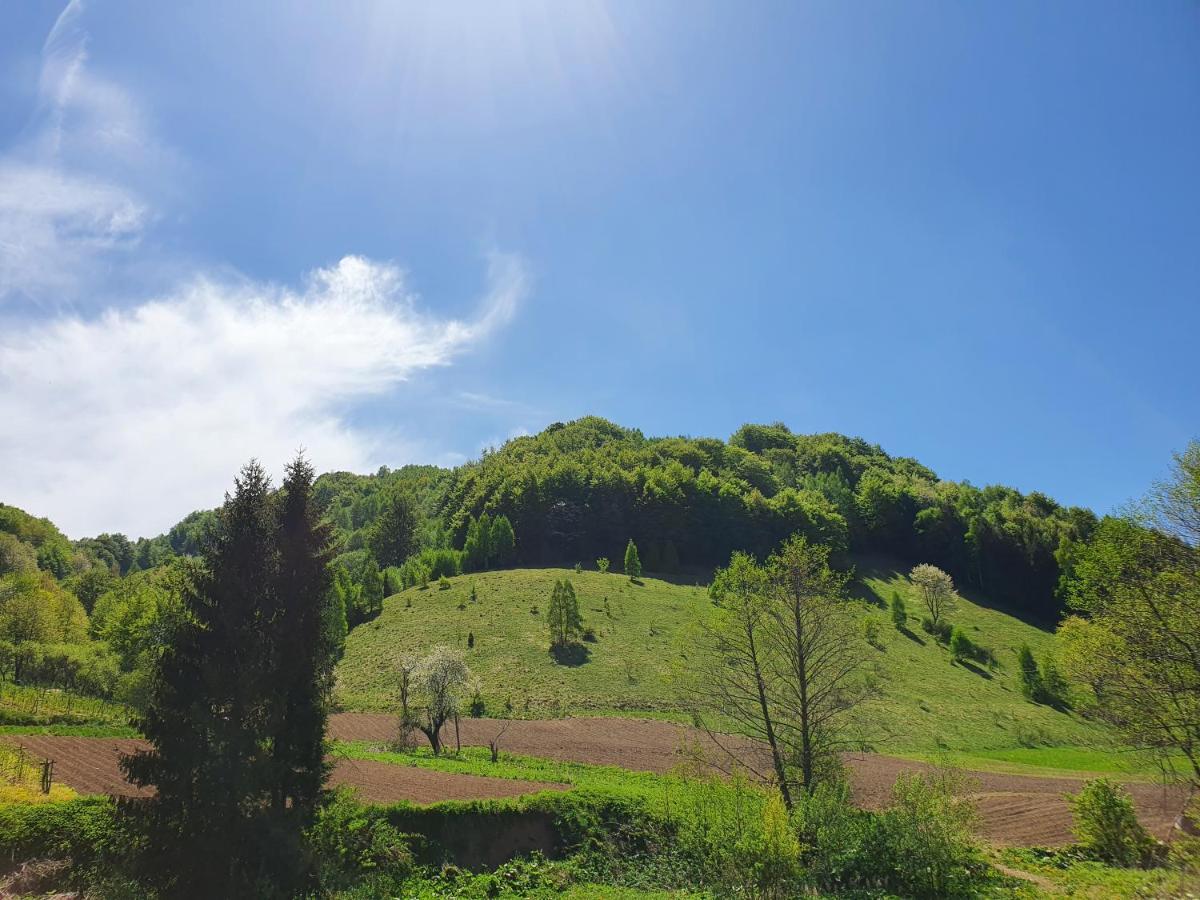 Planinsko Jutro - Brzece Centar Apartments, Kopaonik Екстериор снимка